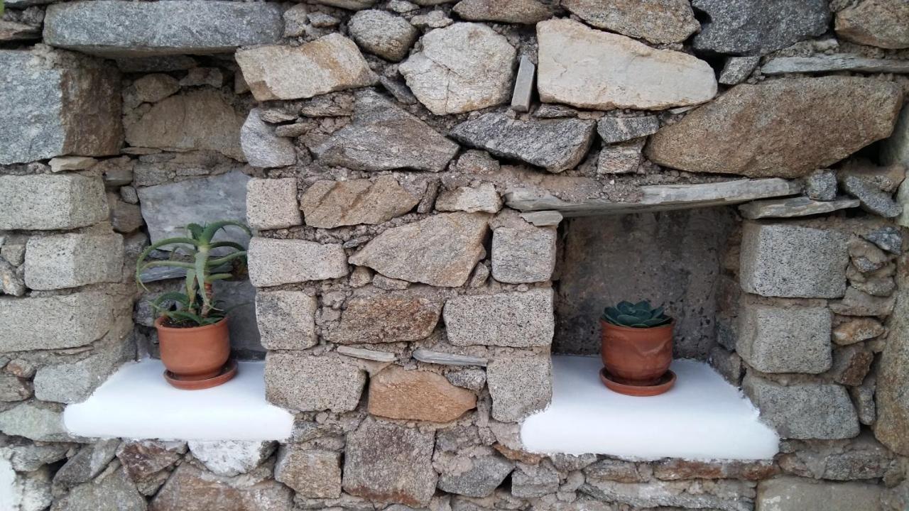 Sunny Guest House New Port Mykonos Tourlos Zewnętrze zdjęcie